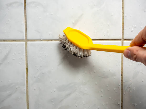 Best Mold Cleaning Services  in Riviera Beach, FL