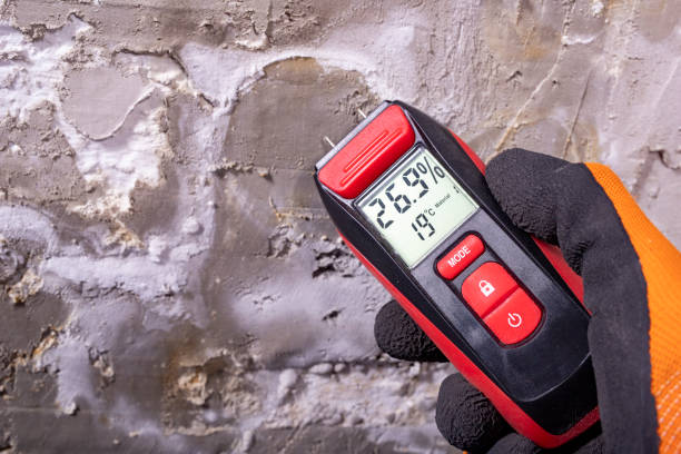 Best Toxic Mold Removal  in Riviera Beach, FL